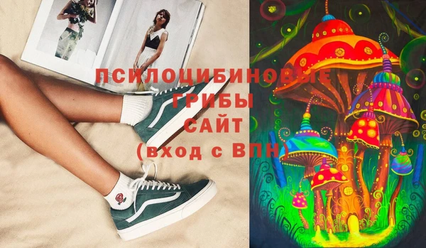 таблы Надым
