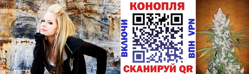 darknet телеграм  Ильский  Бошки Шишки планчик 